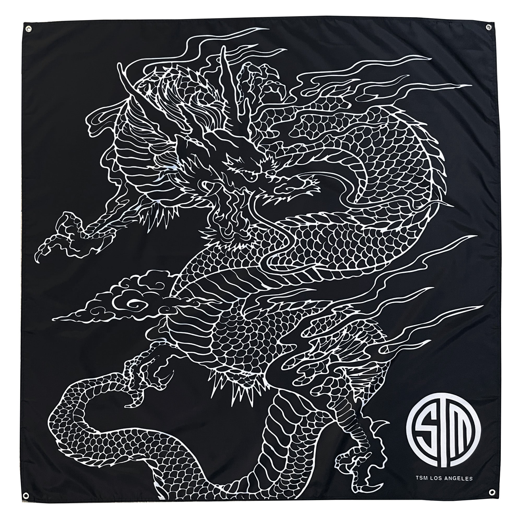 TSM Dragon Banner 50"